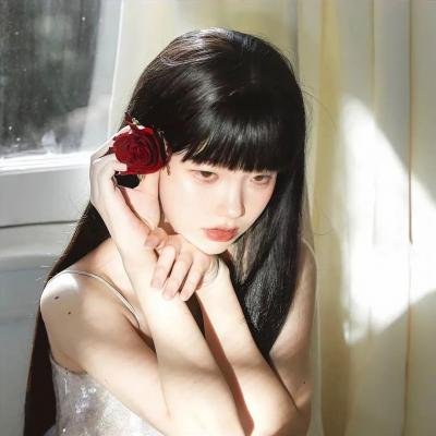 百合的故事 高清封面