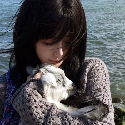 不良少女野良猫的性春 高清封面