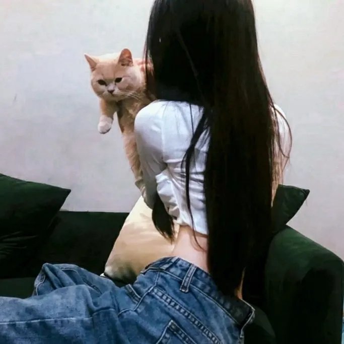 公寓少女 高清封面